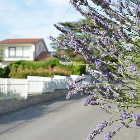 Vila Palma - App Palma & Room Figa Анкаран Екстериор снимка